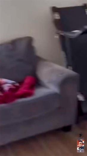 PRIMELINK_CONNECT: Lil DYNAMO X / BRONX STAY GREEN / BEST BUDZ / PODCAST / HEY!! 👋 REMEMBER TO KEEP UP!! ⬆️ With, @primelink_connect: 🤗🤗🤗🤗❤️❤️❤️ #fyp #memes | Antoin Ramirez