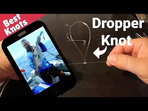 How to tie a dropper loop knot Paternoster Rig
