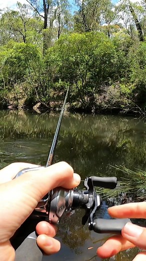 Aussie Bass Fishing Tips for Beginners