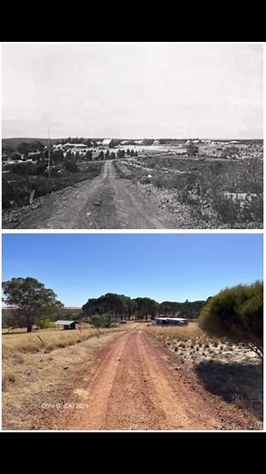 The Moore River Native Settlement: Exploring an Infamous Historical Site