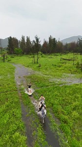 52K views · 1.1K reactions | #surfboard + #horseriding = grass surfing! ‍♂️ Whoever came up with this genius combo just made both sports way more fun! #crazysports #epicride | Shanghai Daily 上海日报 | Facebook