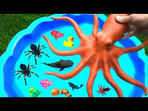 Learning With Wild Zoo Animals in Water Splash with Shark Toys For Kids