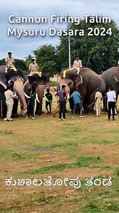 152K views · 3.7K reactions | First Cannon Firing training 2024 with Dasara elephant reaction ಮೈಸೂರು ದಸರಾ ಆನೆಗಳ ಕುಶಾಲತೋಪು ತಂಡ ಪಿರಂಗಿ ತಾಲೀಮು #mysurudasara #dasaraelephants #elephant #cannonfire #cannon | Sudeesh Kottikkal ಸುದೀಶ್ ಕೊಟ್ಟಿಕ್ಕಲ್ | Facebook