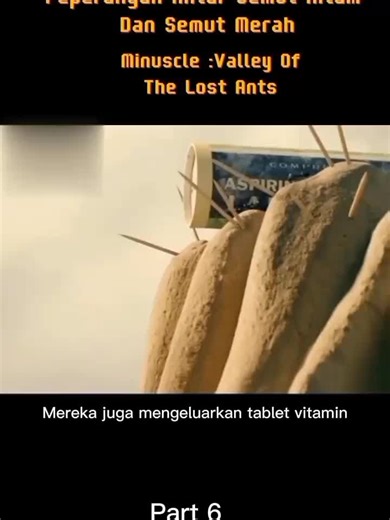 Perang Semut: Strategi Hitam vs Merah