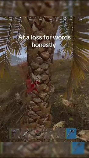 Idk atp😂 #rust #rustpc #rustgame | rust game