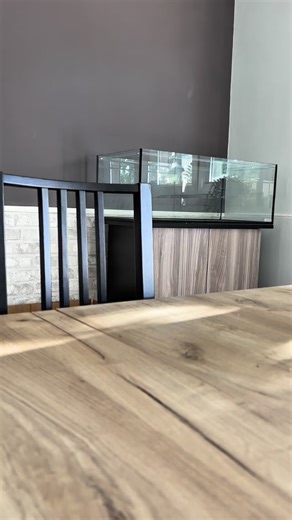 I’ve got everything ready to create some amazing hardscapes! 💪 Here’s the setup: 🐟 SERA AquaTank 96L (82x40x30cm) 🪾 Driftwoods size L 🪨 Gray Pebble rocks (various sizes) ⏳ Brown Fine substrate @sera_es.pt_official @sera_de_official Let’s create! ✨ Can’t wait to hear your thoughts once it’s done! 😄 #biotope #hardscape #paraídopleco #aquaaficionados #pleco #cascudo #plecolife | Paraíso Pleco