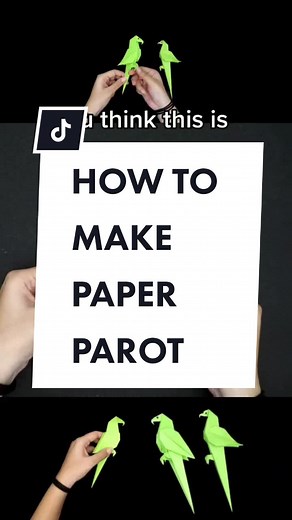 ✅ Let's make Paper Parrots from scratch! You can make this at home with the kids 👍😍 Fun and easy step by step tutorial 👍 Things you'll need: Paper Glue Scissors #paperparrot #origamiparrot