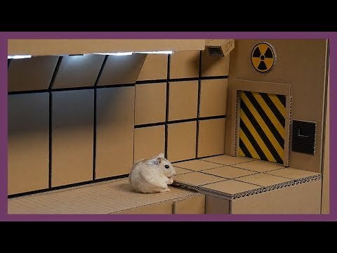 [ENG Sub] Hamster Shelter
