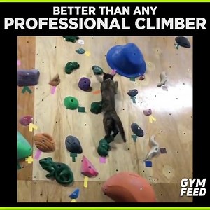 61K views · 178 reactions | I love this!  @storyful | EPIC FAIL | Facebook