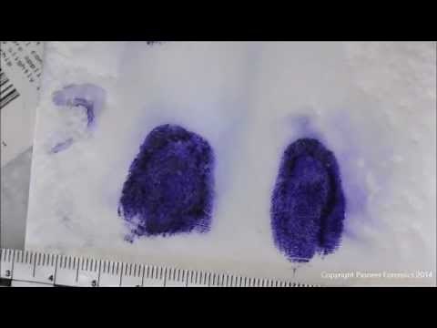 Leuco-Crystal Violet Forensic Applications