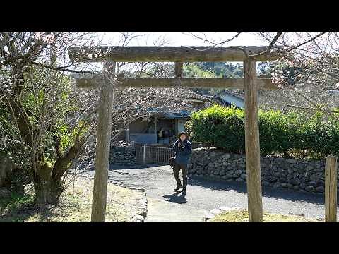 [POV] Ruins Beneath the Lake and a Thousand-Year Tree | Kagoshima, Japan | CONTAX RTS III