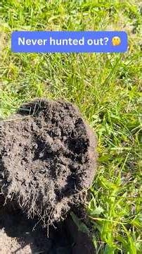 Never hunted out? 🤔 #metaldetecting #treasurehunting #minelabmanticore