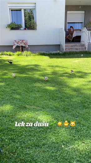 #selo #raj #balkan #serbia🇷🇸 #viral #fyp