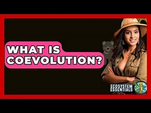 What Is Coevolution? - Ecosystem Essentials