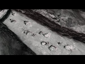 Dino chase digitally reconstructed | Science News