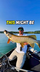 1.4M views · 33K reactions | I HOOKED a MONSTER TIGER MUSKY!!  #tigermusky #musky #muskyfishing #fiske #pesca #predatorfishing #bassfishing #bigbass #giantbass #fishing #pondfishing #fishon #fishinglife #fishingdaily #fishinglures #fishingtime #fishingfun #fishingtime #bigbassonly #bigbassfishing #njfishing #rods #reels #fishing #fishingrod #bigbassenergy #hugebass #bassfishingislife | Dkam Fishing | Facebook
