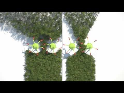 CLAAS VOLTO 1100 Animation / 2013