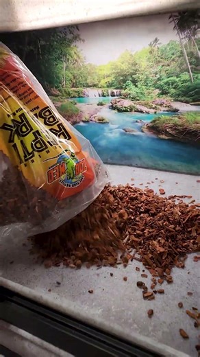 Get The Best Reptile Substrate