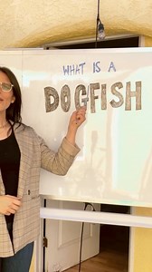 Dating Detectives Vocabulary Lesson #1: what’s a dogfish? Knowledge is power, my loves. Drop any questions in the comments, and listen to the podcast for more! LISTEN: https://www.thedatingdetectivespodcast.com/episodes | The Dating Detectives