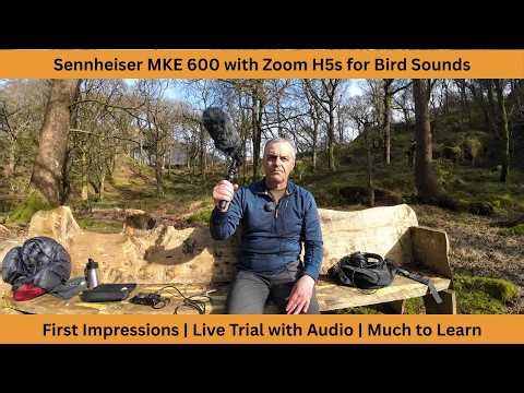 Sennheiser MKE 600 Shotgun Mic and Zoom H5 Studio Bird Sounds Trial | Set Up and Field Tests