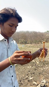 1.2M views · 6.8K reactions | Creative videography ideas  #shorts #creative #creativephotography | SK.Photography 2.O | Facebook