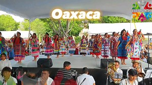 9.9K views · 1K reactions | Flor de Piña, #Oaxaca, #Guelaguetza Región del Alto Papaloapan, San Juan Bautista Tuxtepec Grupo De Danza Raices Oaxaqueñas Presencia de Oaxaca oficial Parque el Carmen en la ciudad de Puebla. Así se #ViveElFolklore de Oaxaca | Vive el Folklore | Facebook