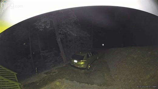 Bear breaks into car through window