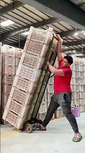 Pushing Limits: How a Hand Truck Transforms Warehouse Efficiency