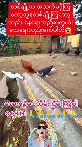 226K views · 983 reactions | #scared #scary #scarystories #scareprank #scarecamchallenge #Amazing #amazingvideo #amazingview #amazingfacts #Dangerous #Danger #dangerouschallenge #dangerdays Disclaimer: No copyright infringement intended. I Do Not Own This Audio and Video Content. All the contents are credited to rightful owners.I upload it entertainment purpose only. | John Wise | Facebook