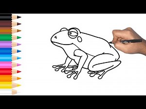 How to Draw a Frog Step by Step | Easy Drawing for Beginners