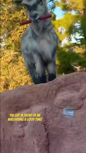 Big Thunder Mountain Railroad = Pure Frontierland Fun 🤠✨