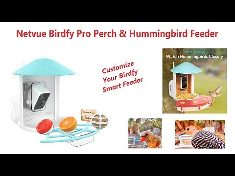 Netvue Birdfy Pro Perch Extension and Hummingbird Feeder Review