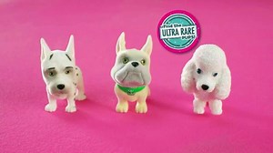 Puppy In My Pocket TV Spot, 'Which One Will You Get?'