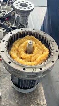 Maintaining Cycloidal Pinwheel Reducer!