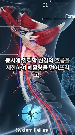 숨만 잘 쉬어도 뇌가 살아난다? 90%가 모르는 '후두하근'과 횡격막 호흡의 충격적 비밀