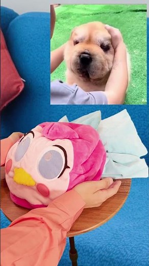 Windows エラーおどりっぴぃ🐤‼️#shorts #おもしろ#おもしろ動画#Windows #Windows エラー