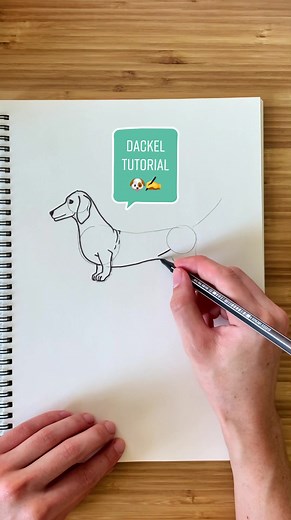 Dackel zeichnen: Ein einfaches Tutorial für Anfänger