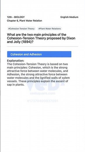 Cohesion Tension Theory Explained Plant Water Relations Biology 12th