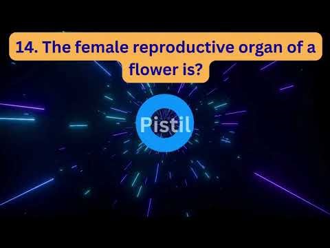 🌸 The Parts of a Flower | MCQ Quiz for Students | General Knowledge 🌸