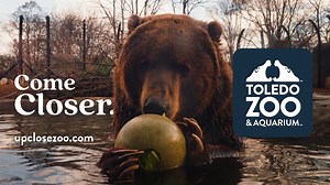 33K views · 568 reactions | Come face-to-face with fun this summer! ☀️ Experience animal demos & feeds, rides & attractions, & in-park events like Twilight Evenings. Plan your visit at https://www.toledozoo.org/ | The Toledo Zoo | Facebook