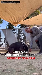 5.4K views · 415 reactions | We are very sad to report that Mr....