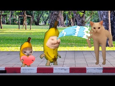 BANANA CAT 🍌😿 Baby Banana Cat Compilation 😺❤️ 2 Minutes VIDEOS 4 #4