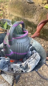 J’ai fais cui les feuilles de manguier à une température de 100 degré . Normalement le plastique doit se fondre . essayez de trouver une explication scientifique du phénomène. | Degaule PANDA le fou sage