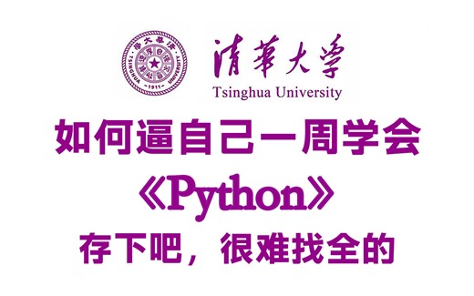 【B站强推】2025最细最全Python全套教程！全程干货无废话！逼自己1周学完，从0基础Python小白到编程大佬只要这套就够了！存下吧，少走弯路！