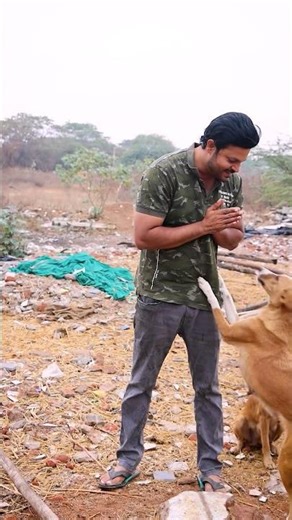 Let’s Save Good Dogs 🐕 They deserve to live a good life #dog #viral #shorts