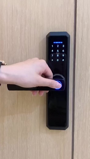 5 in 1 Smart door lock , Unlock by five methods #fingerprintlock #passwordlock #IC card #apps remote unlock #smartlockdoor