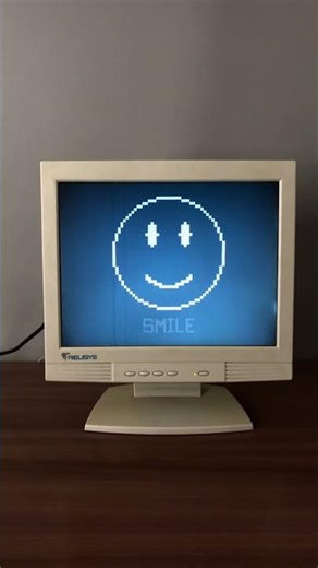 Who took the picture (OREN or RADDY) ?? // MR FUN COMPUTER SMILE FACE