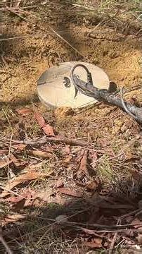 GPX6000 finds GOLD #metaldetecting #metaldetector #goldcollector #treasuresearch