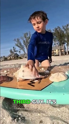 CRAZIEST Captiva Island Shelling 🐚 Florida Shelling Adventure