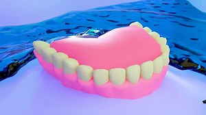 Teeth, Human, Mouth. Free Stock Video